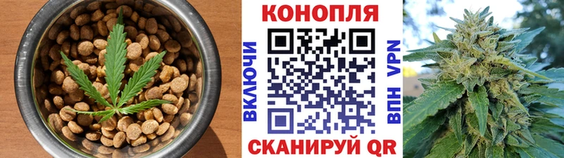 дарнет шоп omg ссылки Cannafood конопля Эртиль