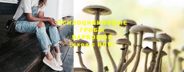 прущий лед Абдулино