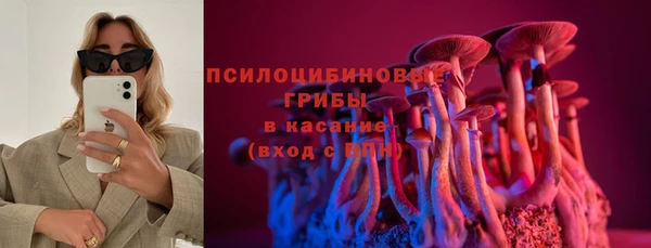 PSILOCYBIN Абаза