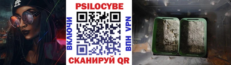 Псилоцибиновые грибы Psilocybe  Эртиль 