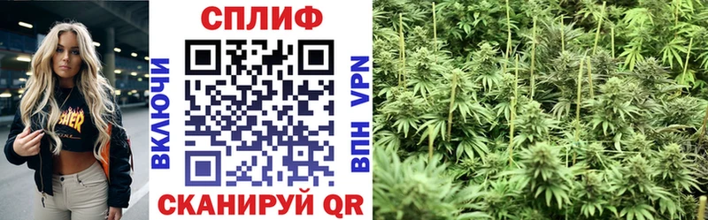 купить закладку  Эртиль  Конопля Ganja 